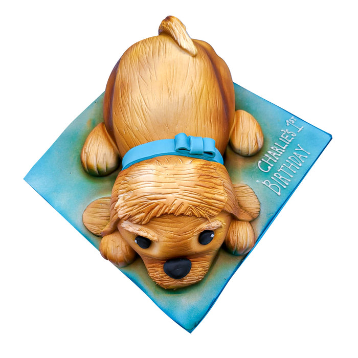 Dog Cake