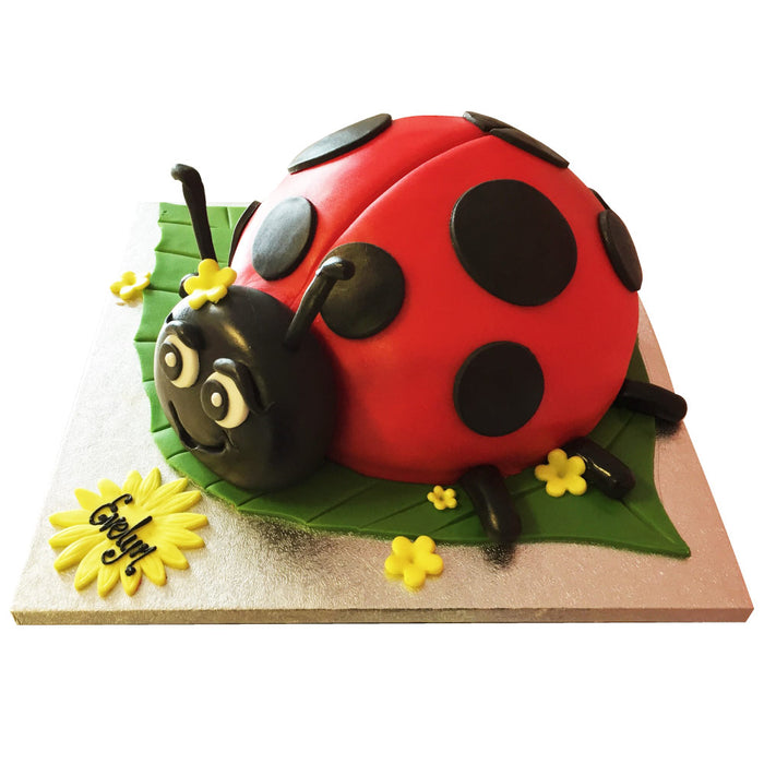 Ladybird Cake - Last minute cakes delivered tomorrow!