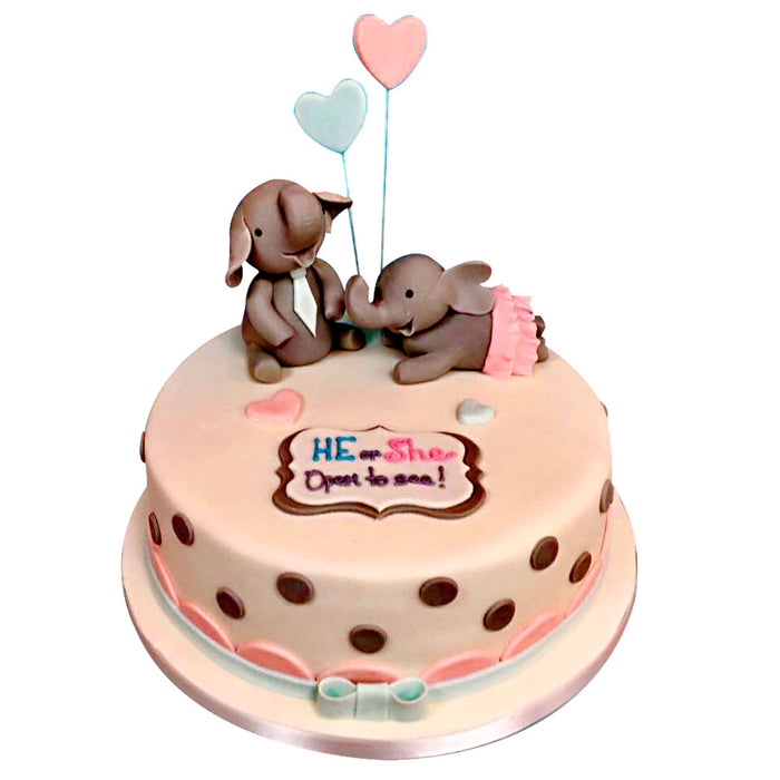 Gender Reveal Cake