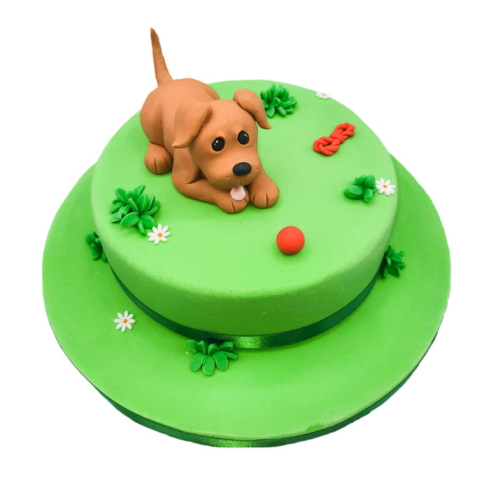 Dog Playing Cake