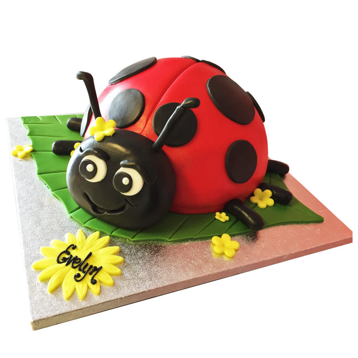 Ladybird Cake - Last minute cakes delivered tomorrow!