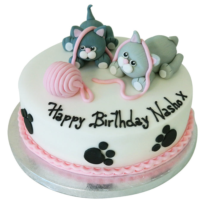 Cats Cake - Last minute cakes delivered tomorrow!