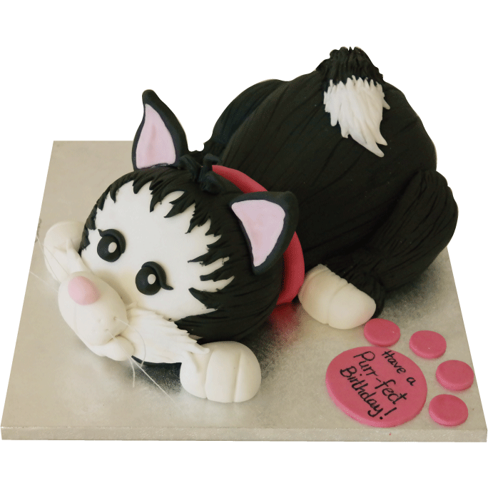 Crazy Cat Tiered Cake - Classy Girl Cupcakes