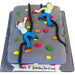 Climbing Wall Cake - Last minute cakes delivered tomorrow!