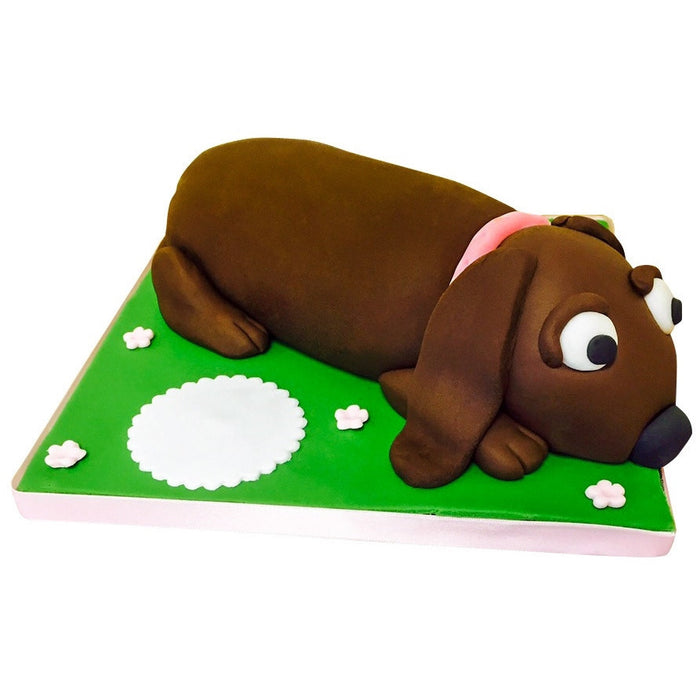 Sausage Dog Cake - Last minute cakes delivered tomorrow!