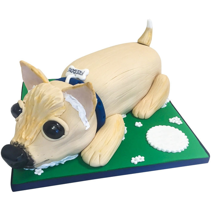 Make and Bake for Pets | Cake for Dogs | Donut Cake with 3D Topper 6 inches