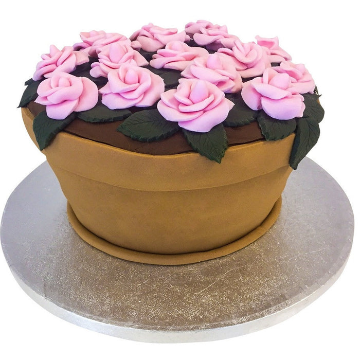 Flowerpot Cake - Last minute cakes delivered tomorrow!