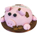 Pig Cake - Last minute cakes delivered tomorrow!