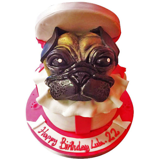 Pug In a Box Cake - Last minute cakes delivered tomorrow!